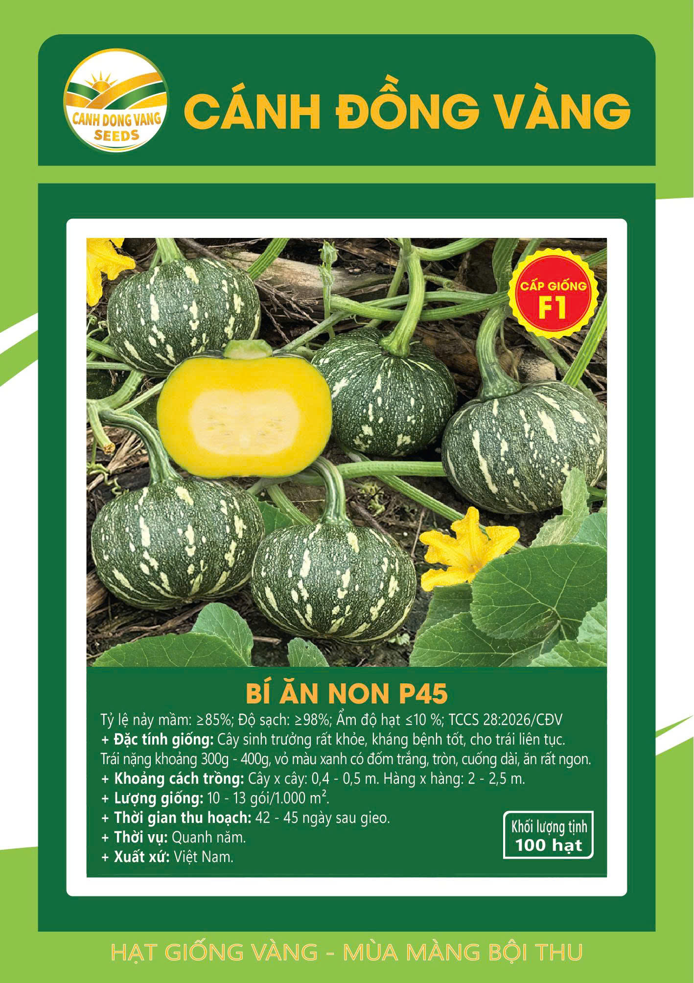 BÍ ĂN NON P45